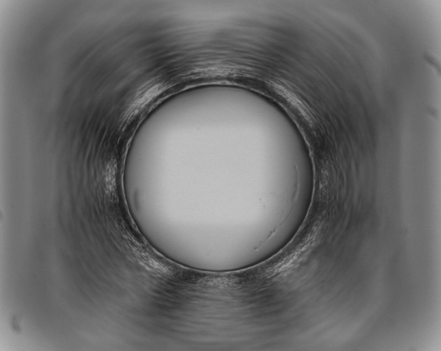 X0000096640778200802191218