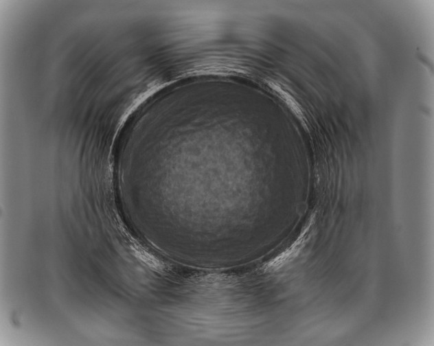 X0000096640779200802191218