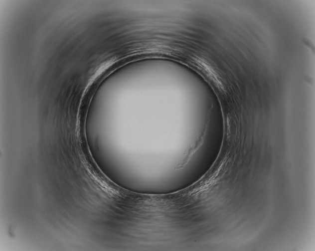 X0000096640780200802191218