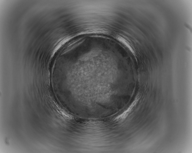 X0000096640781200802191218