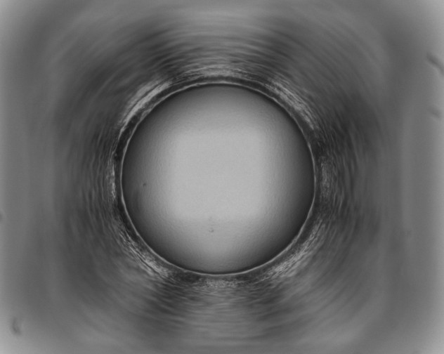 X0000096640782200802191218