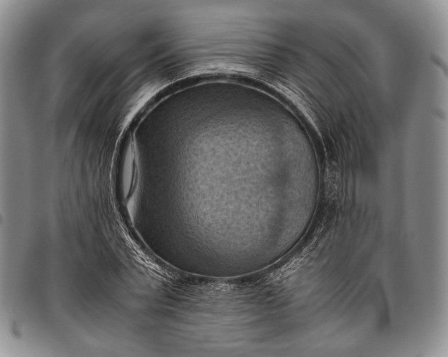 X0000096640783200802191218