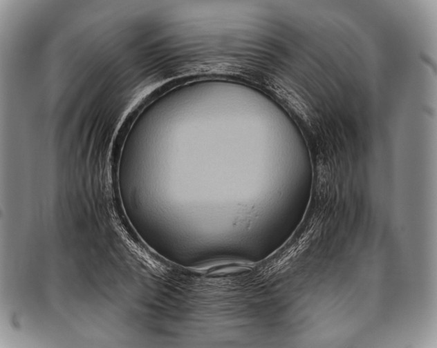 X0000096640784200802191218