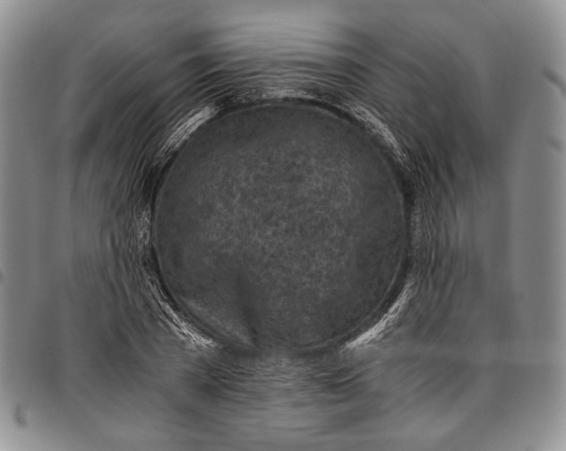 X0000096640785200802191218