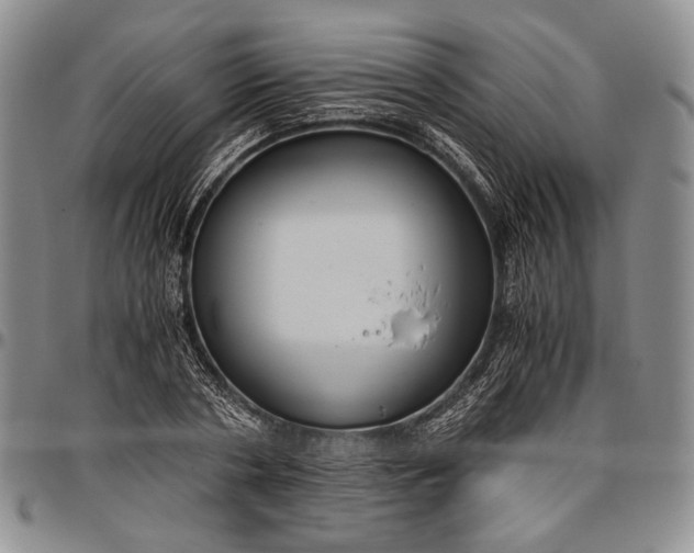 X0000096640786200802191218