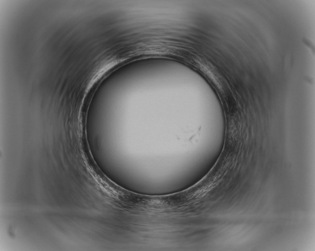 X0000096640787200802191218