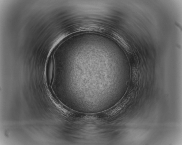 X0000096640788200802191218