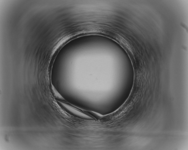 X0000096640789200802191218