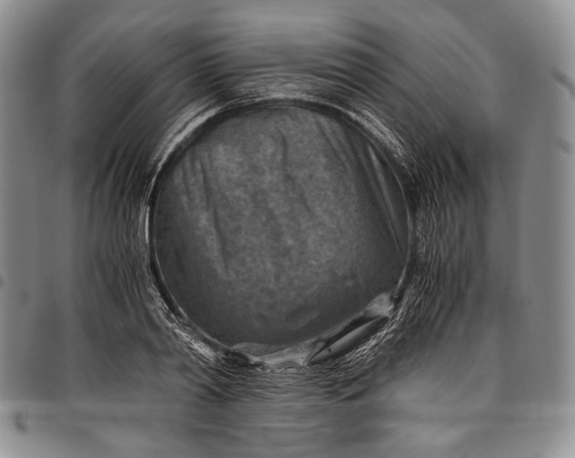 X0000096640790200802191218