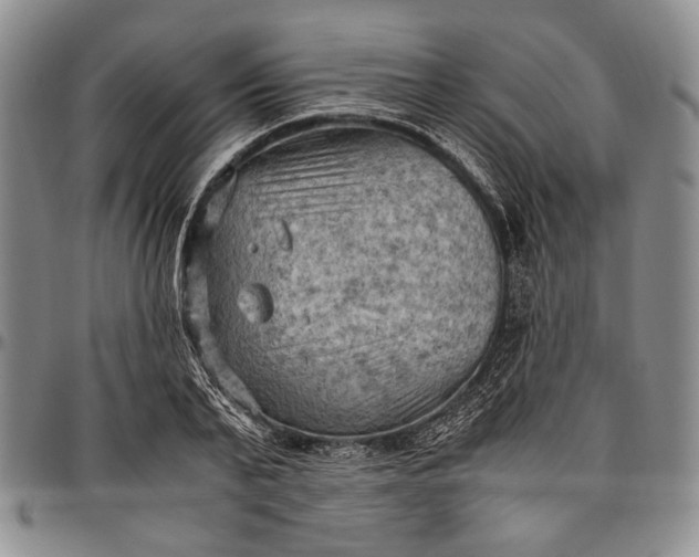 X0000096640791200802191218