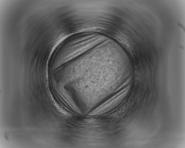 X0000096640792200802191218