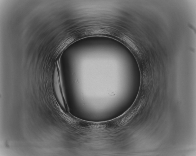 X0000096640793200802191218