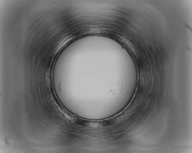 X0000096640794200802191218