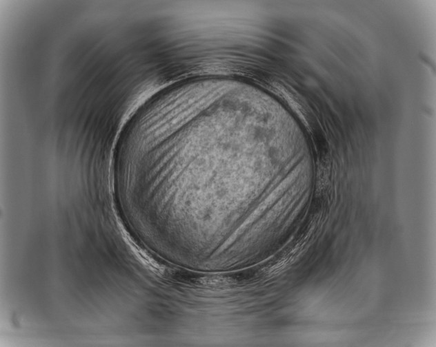 X0000096640795200802191218