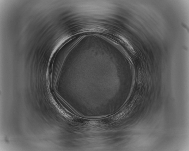 X0000096640796200802191218