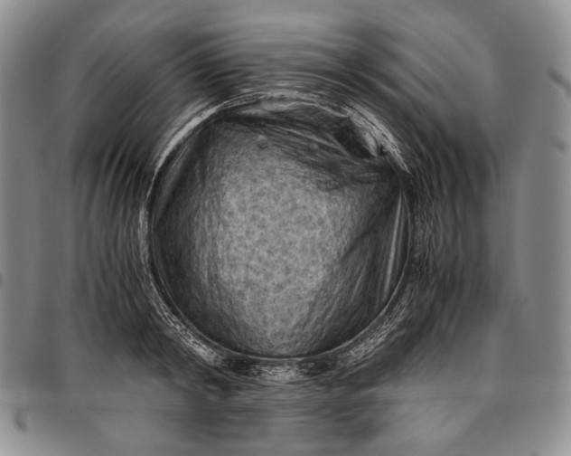 X0000096640798200802191218