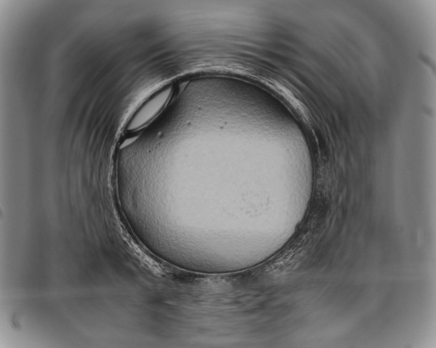 X0000096640799200802191218