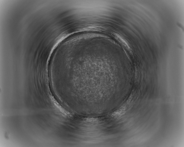 X0000096640800200802191218