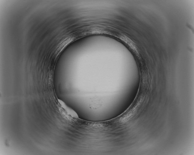 X0000096640801200802191218