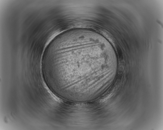 X0000096640803200802191218