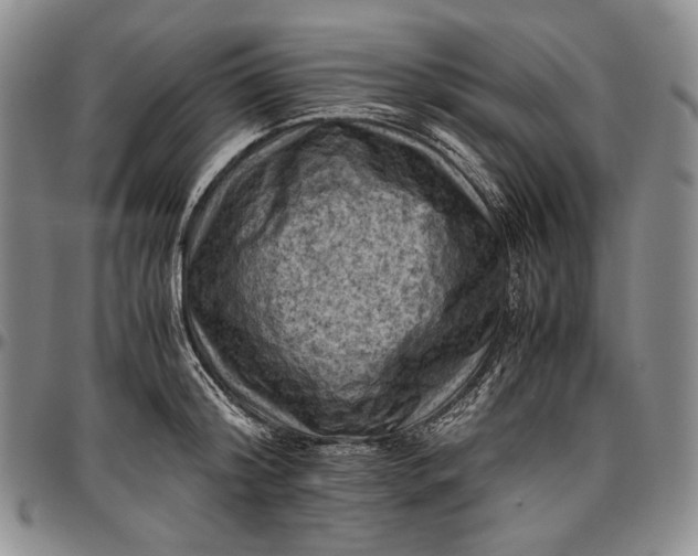 X0000096640804200802191218