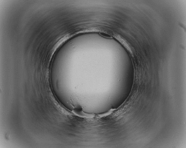 X0000096640805200802191218