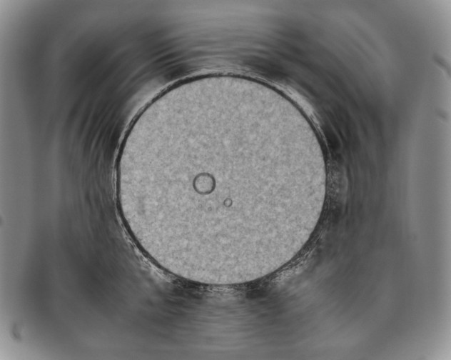 X0000096640807200802191218