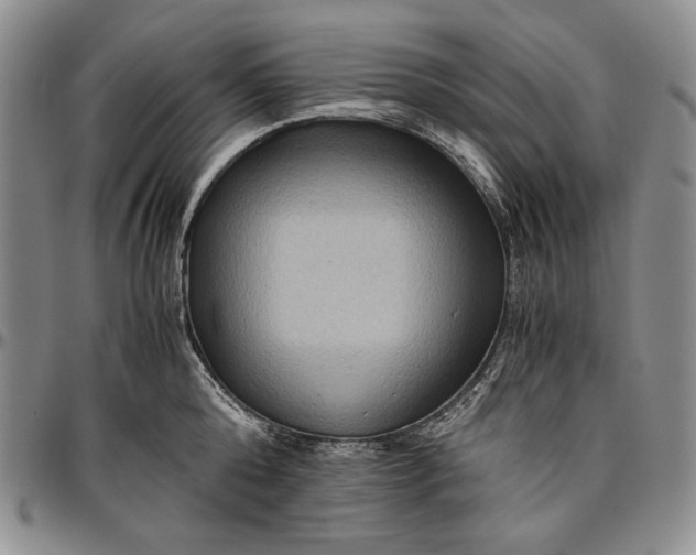 X0000096640808200802191218