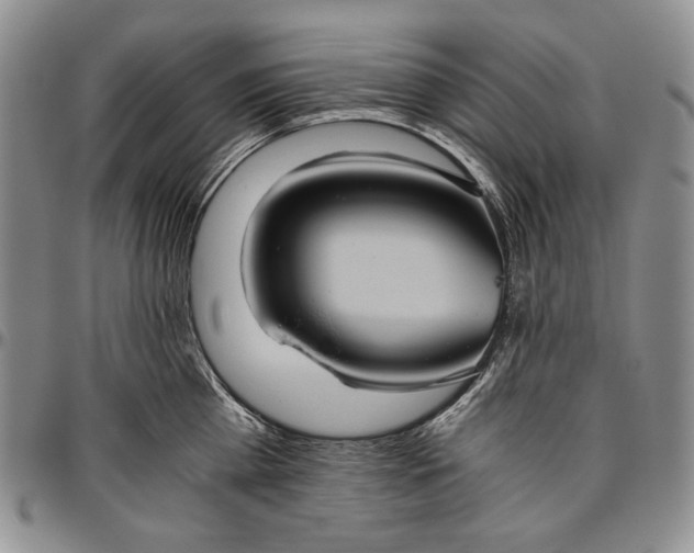 X0000096640809200802191218