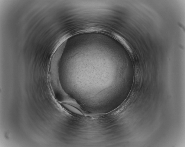 X0000096640810200802191218