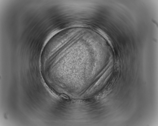 X0000096640811200802191218