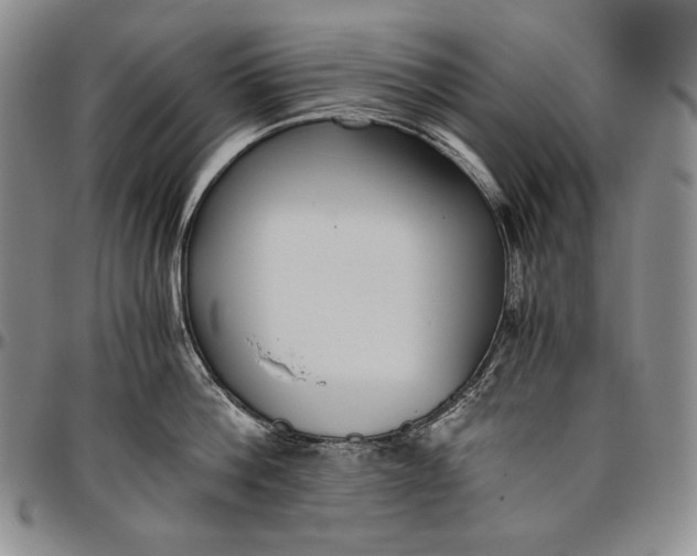 X0000096640812200802191218