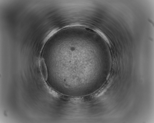 X0000096640813200802191218