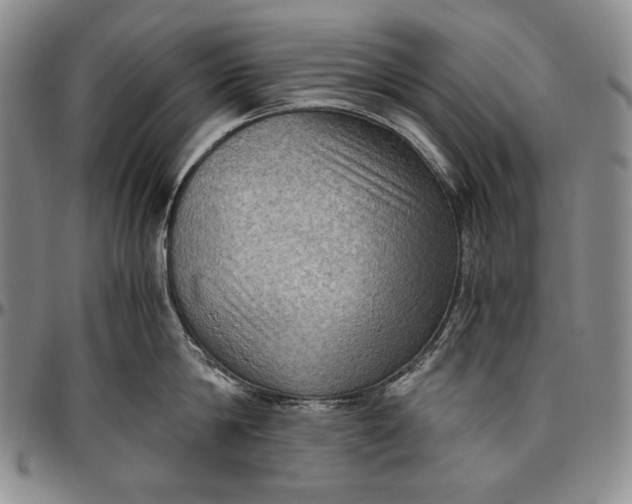 X0000096640814200802191218