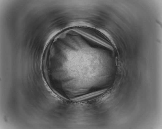 X0000096640815200802191218