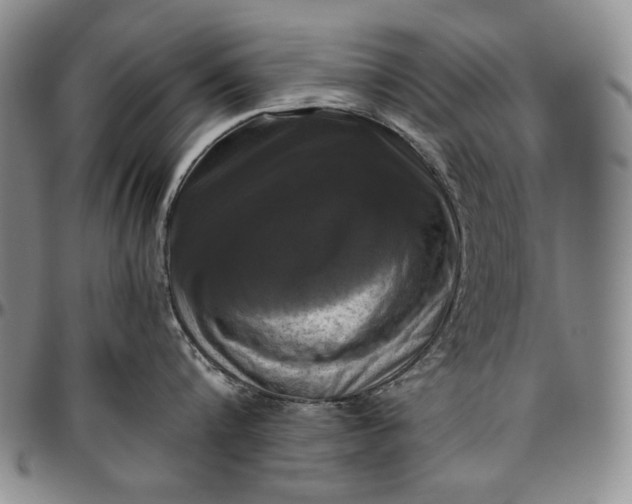 X0000096640816200802191218