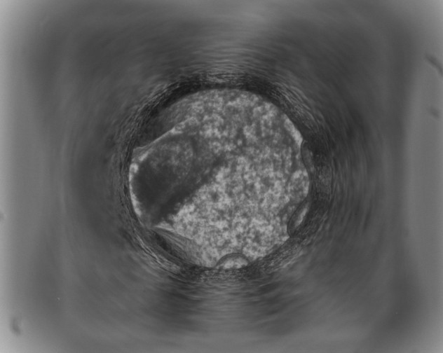 X0000096640817200802191217