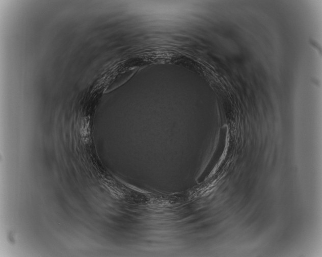 X0000096640818200802191217