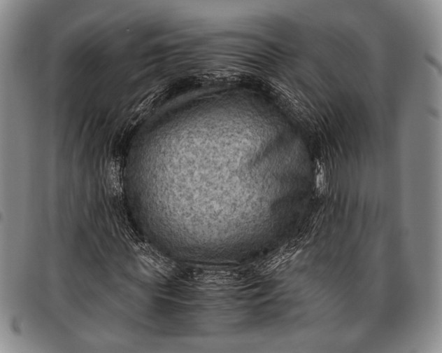 X0000096640819200802191217