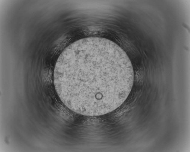 X0000096640820200802191217