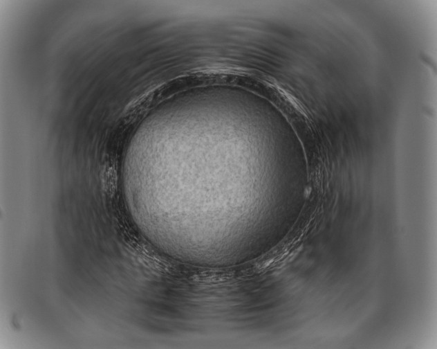 X0000096640821200802191217