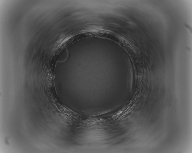 X0000096640822200802191217