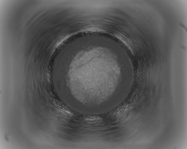 X0000096640823200802191217