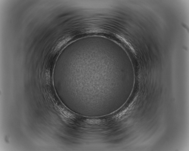 X0000096640825200802191217