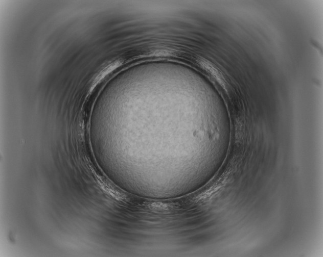 X0000096640827200802191217