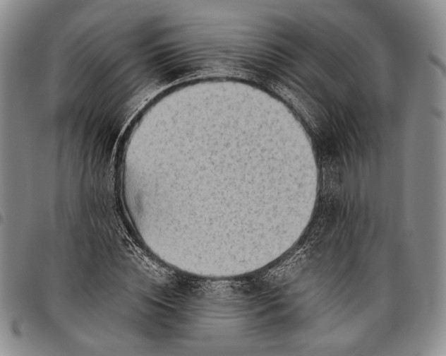 X0000096640828200802191217