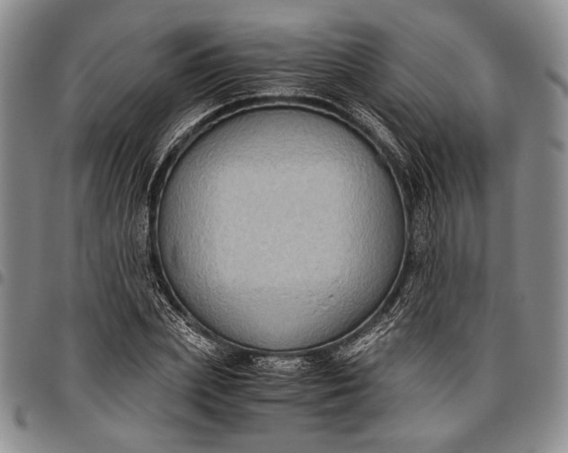 X0000096640831200802191217