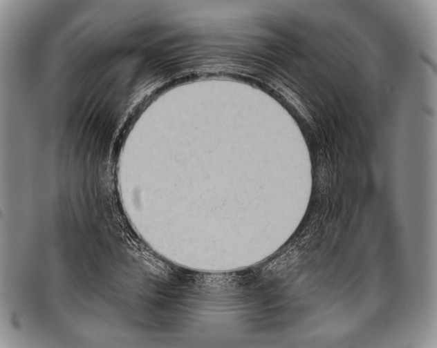 X0000096640832200802191217