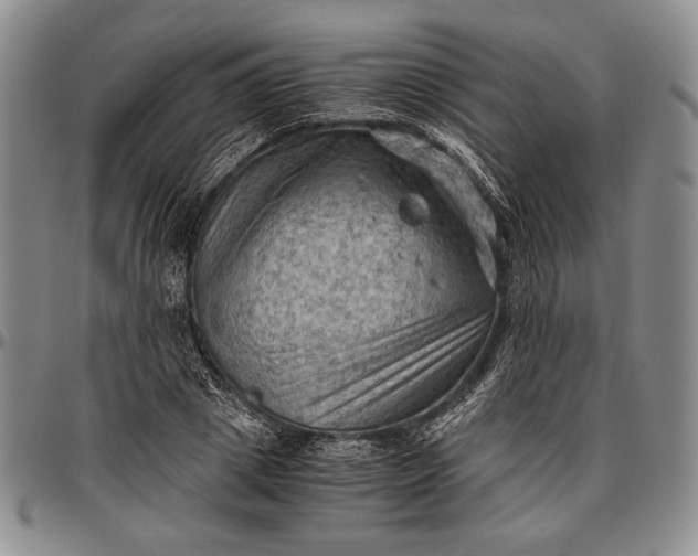 X0000096640833200802191217