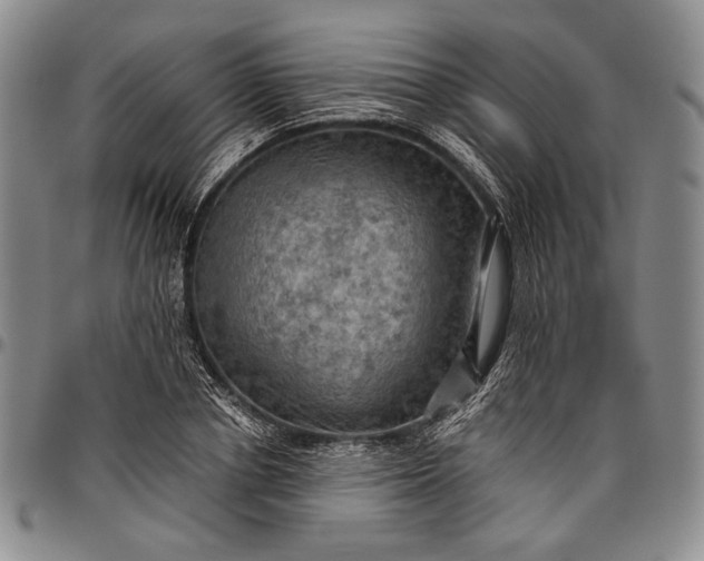 X0000096640834200802191217